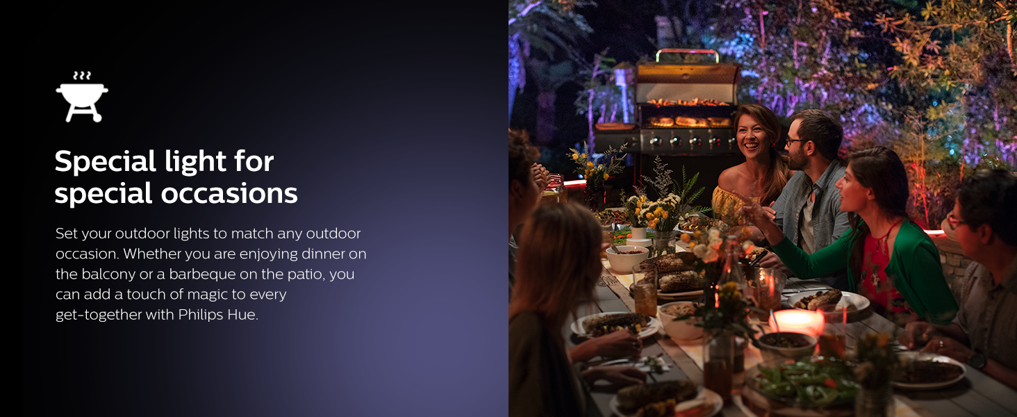 Philips Hue Ambiance Resonate Wall Lantern